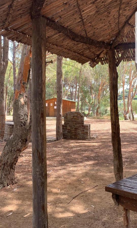Casa Vacanza "Fortuna" باليستراتي المظهر الخارجي الصورة